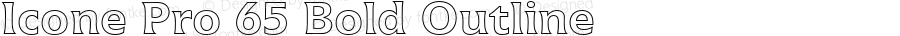 Icone Pro 65 Bold Outline