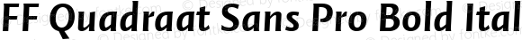 FF Quadraat Sans Pro Bold Italic
