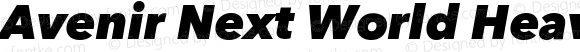 Avenir Next World Heavy Italic