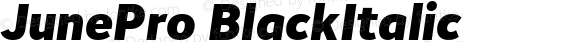 JunePro BlackItalic