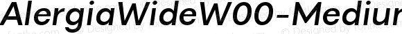 AlergiaWideW00-Mediumitalic Regular