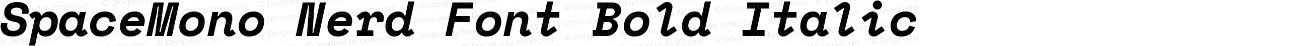 Space Mono Bold Italic Nerd Font Complete