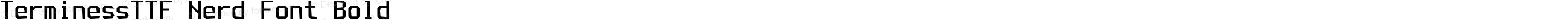 TerminessTTF Nerd Font Bold
