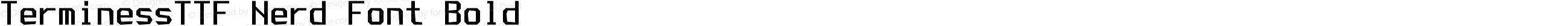 TerminessTTF Nerd Font Bold