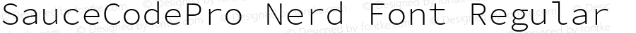 SauceCodePro Nerd Font Regular