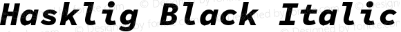 Hasklig Black Italic Nerd Font Complete Mono