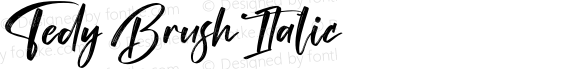 Tedy Brush Italic