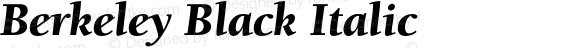 Berkeley Black Italic
