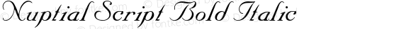 Nuptial Script Bold Italic