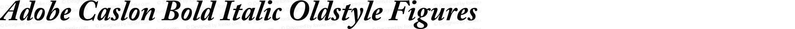 Adobe Caslon Bold Italic Oldstyle Figures