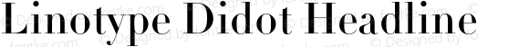 DidotLH-Headline