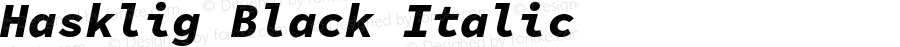 Hasklug Black Italic Nerd Font Complete Mono