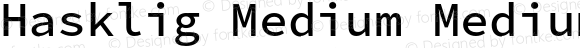 Hasklug Medium Nerd Font Complete Mono Windows Compatible