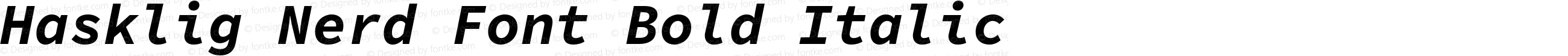 Hasklig Bold Italic Nerd Font Complete Mono
