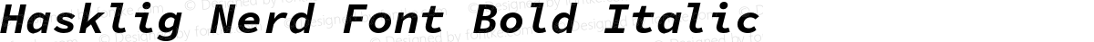 Hasklig Nerd Font Bold Italic