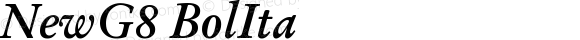 NewG8 Bold Italic