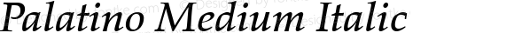 Palatino Medium Italic