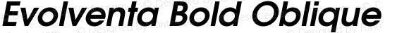 Evolventa Bold Oblique