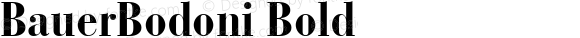 12 Bauer Bodoni** Bold Condensed    24033