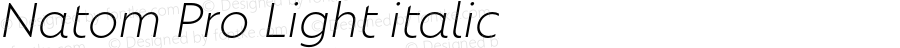 Natom Pro Light italic