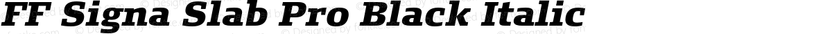 FF Signa Slab Pro Black Italic