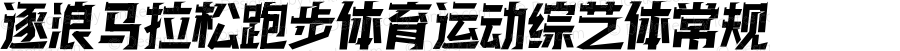 逐浪马拉松跑步体育运动综艺体 常规