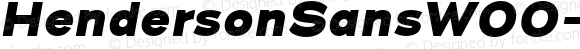 Henderson Sans W00 Black Italic