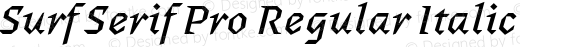 Surf Serif Pro Regular Italic