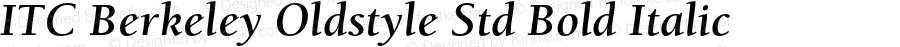 ITC Berkeley Oldstyle Std Bold Italic