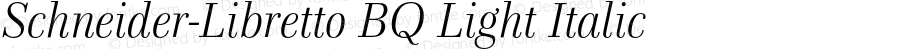 Schneider-Libretto Light Italic