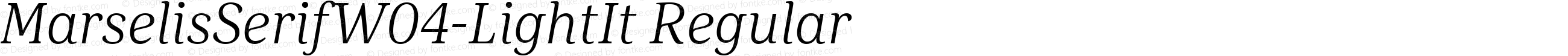 Marselis Serif W04 Light Italic