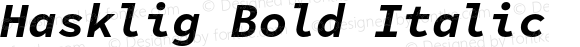 Hasklig Bold Italic