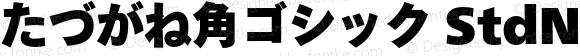 たづがね角ゴシック StdN XBlack Regular