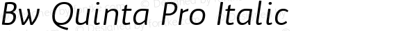 Bw Quinta Pro Italic