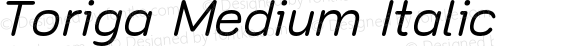 Toriga Medium Italic