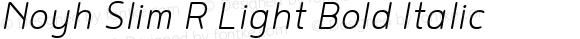 Noyh Slim R Light Italic