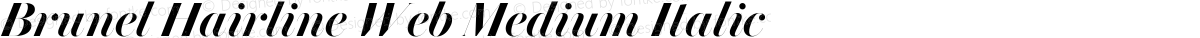 Brunel Hairline Web Medium Italic