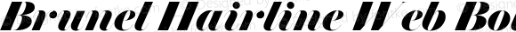 Brunel Hairline Web Bold Italic