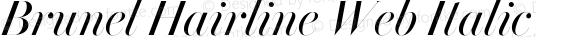 Brunel Hairline Web Roman Italic