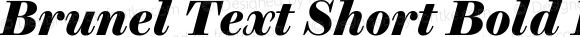 Brunel Text Short Bold Italic