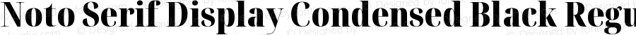 Noto Serif Display Condensed Black