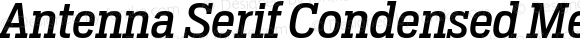 Antenna Serif Condensed Medium Italic