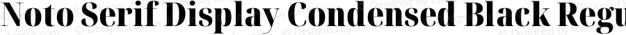 Noto Serif Display Condensed Black