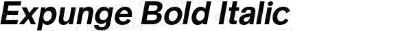 Expunge Bold Italic