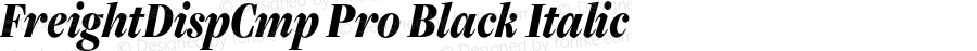 FreightDispCmpProBlack-Italic