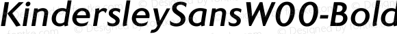 Kindersley Sans W00 Bold Italic