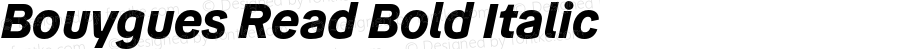 Bouygues Read Bold Italic