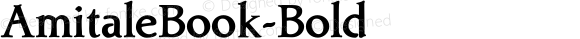 AmitaleBook-Bold ☞ Version 1.000 2008 initial release;com.myfonts.bergsland.amitale.book-bold.wfkit2.356x