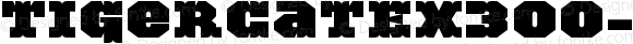 TigerCatEX300-Black ☞ Version 001.000; ttfautohint (v1.5);com.myfonts.easy.activesphere.tigercat.ex-300.wfkit2.version.4h9M