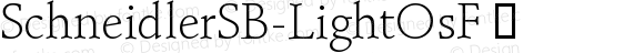 SchneidlerSB-LightOsF ☞ Version 3.010 2014; ttfautohint (v1.5);com.myfonts.easy.efscangraphic.schneidler-sb.light-osf.wfkit2.version.4vWr